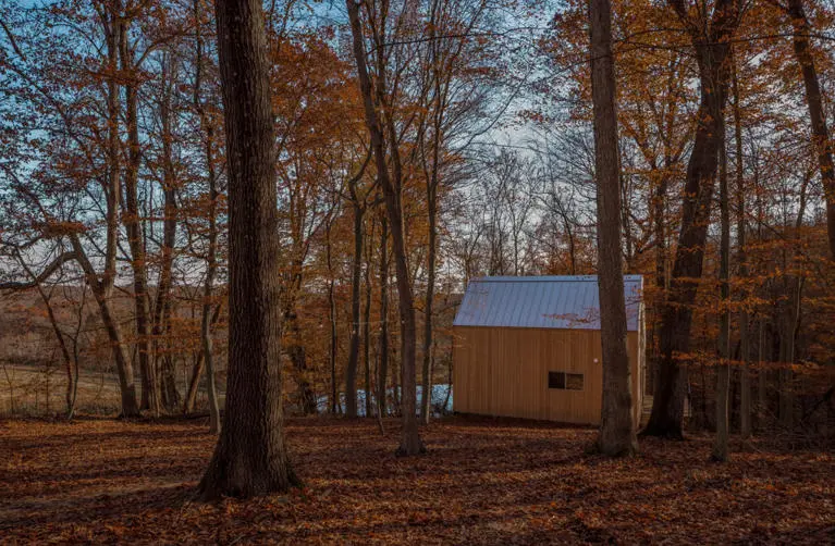 The Primrose The Primrose