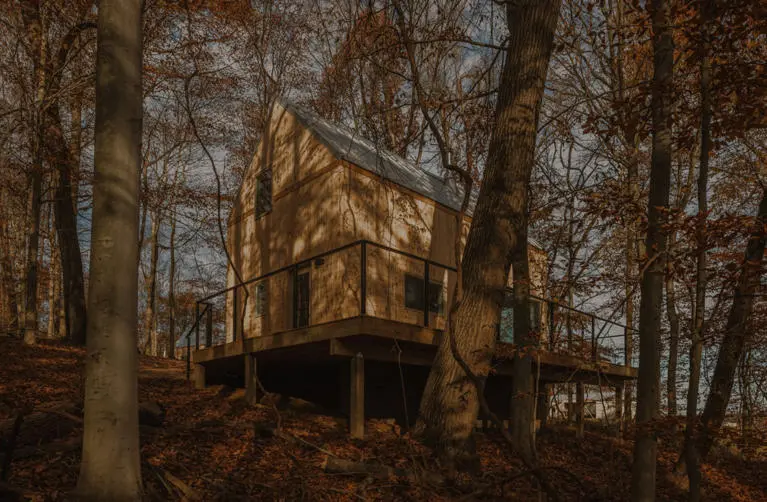 The Primrose The Primrose